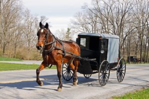 Horse and buggy